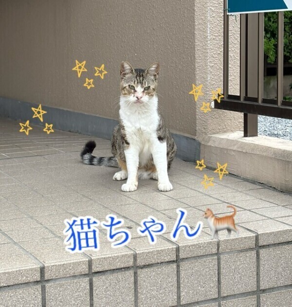 外は涼しいから…お散歩かな❓❓