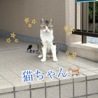 外は涼しいから…お散歩かな❓❓