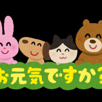 ゆい