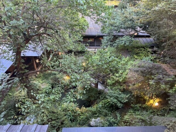 まさかのね(*/∀＼*)ｲﾔﾝ