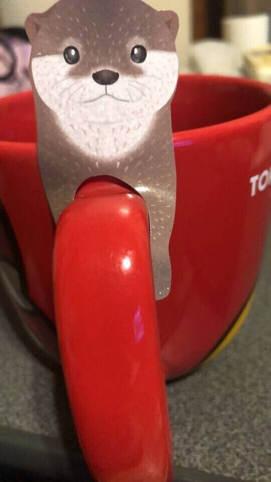 ワクワク(っ ॑꒳ ॑c)