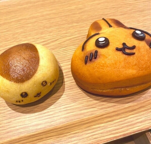 おはようございます🌷