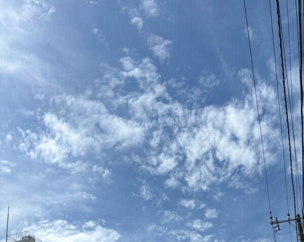 ✨松戸の バリバリ    I様✨