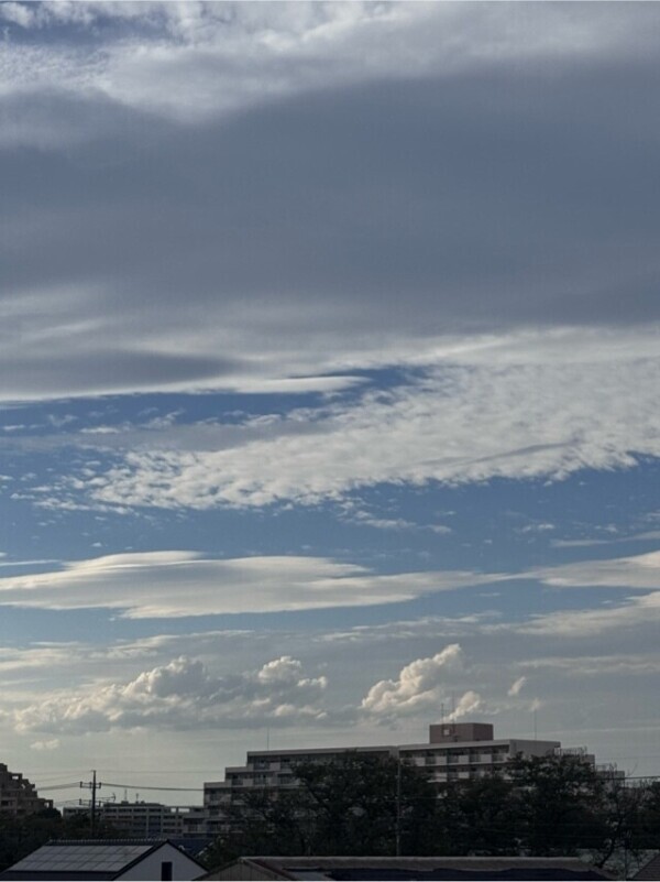 お仕事してきまーす