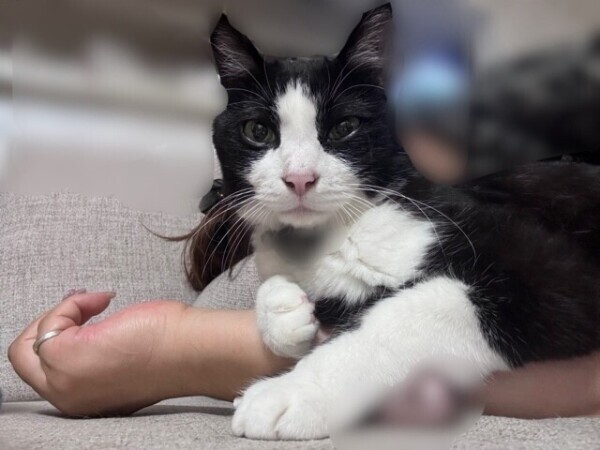 おはようございます