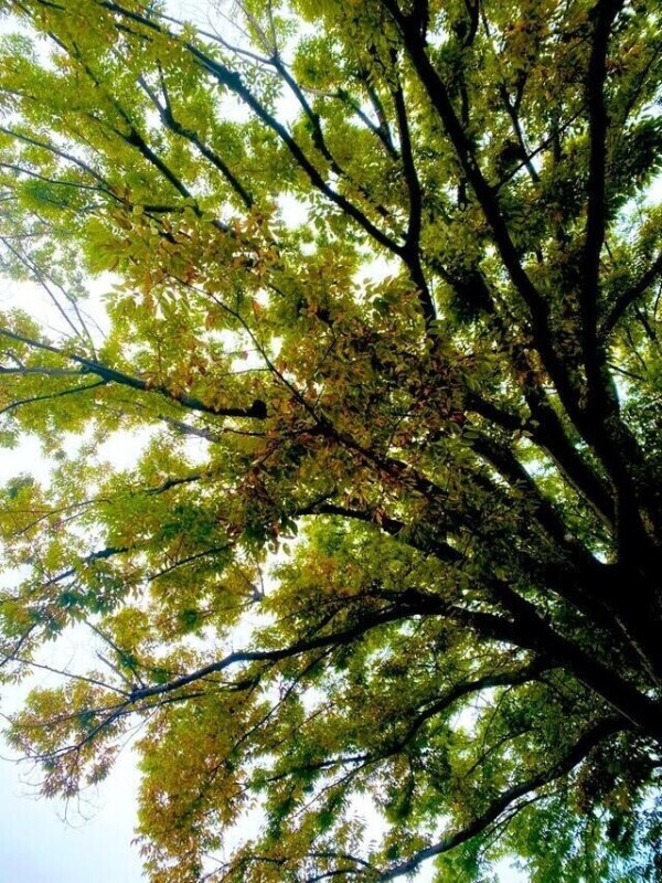 明日のご予約ありがとうございます♡