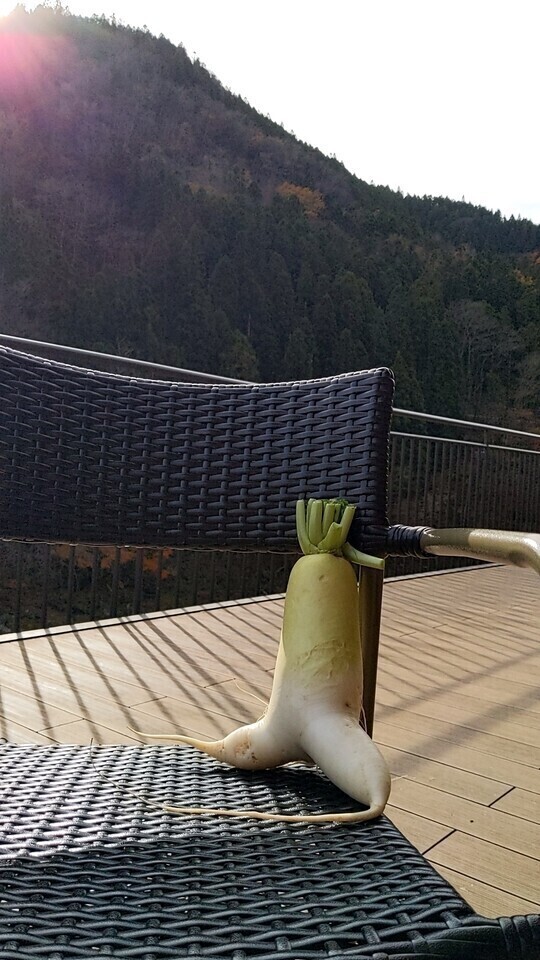 受け入れられなぁーいっ！！！