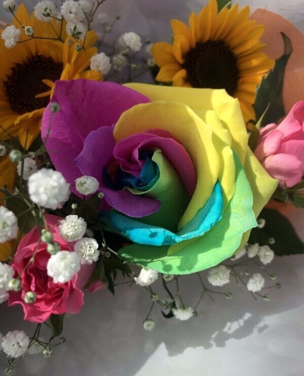 はれたー٩(๑&gt;∀&lt;๑)۶