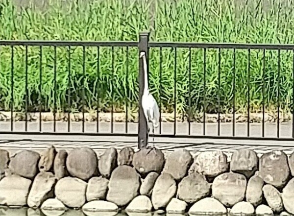 前日ご予約のY様🦉