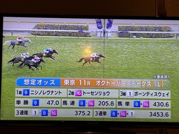 競馬🐴