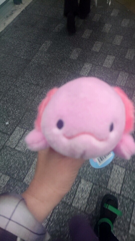 おはようございます♡