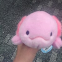 おはようございます♡