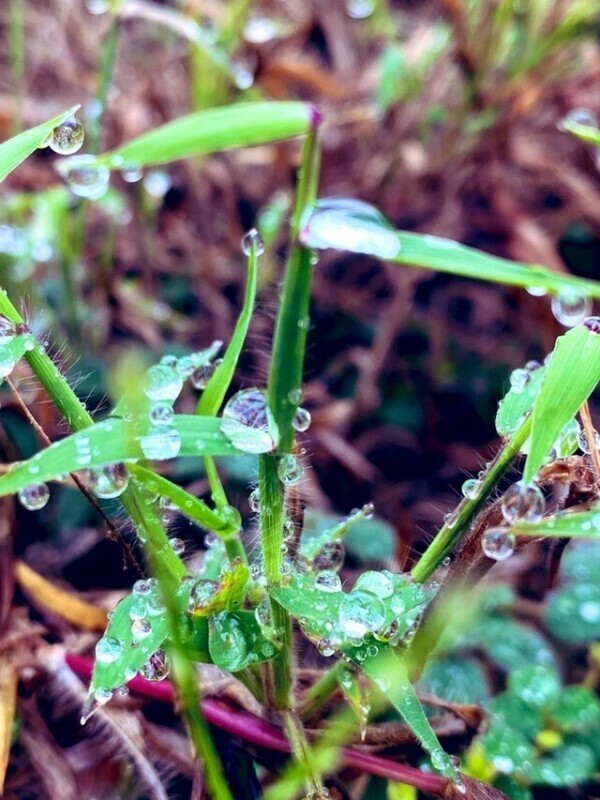 ご予約ありがとうございます♡