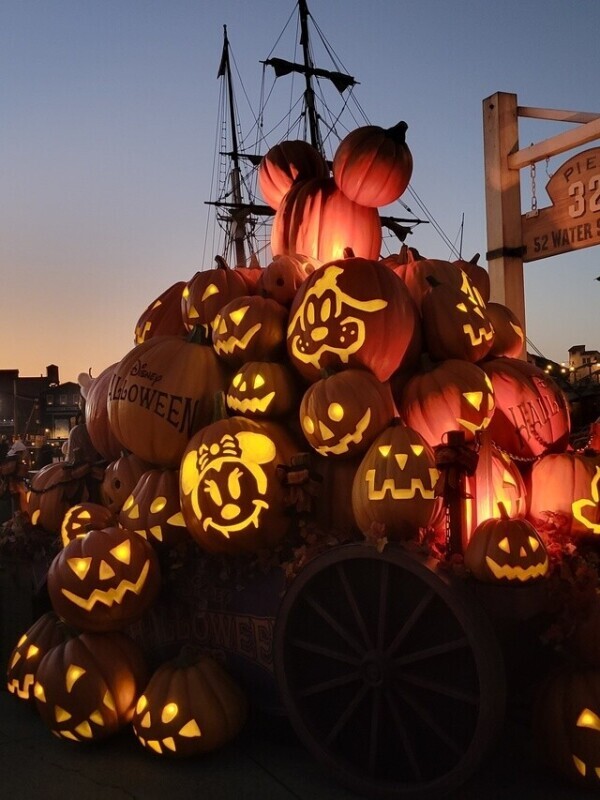 明日16時本指名様