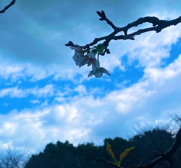 おはようございます♡