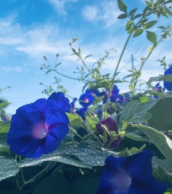 明日のご予約ありがとうございます♡