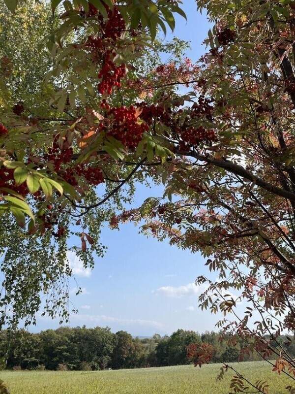 事前予約ありがとうございます