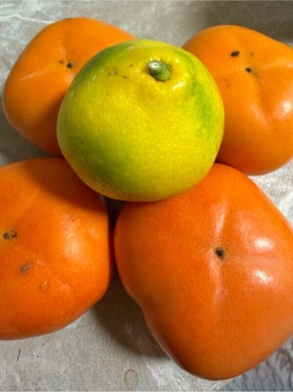 さっそく頂きました✨