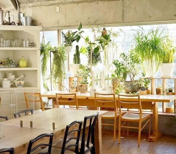 ♡カレーフェス♡