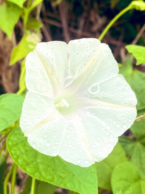 ご予約ありがとうございます♡