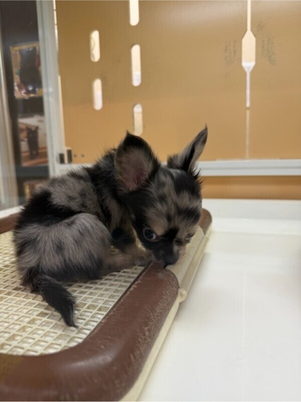 たまらなかったです??