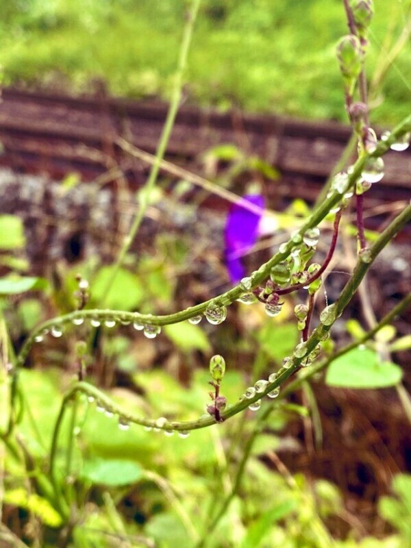 おはようございます♡