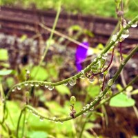 おはようございます♡