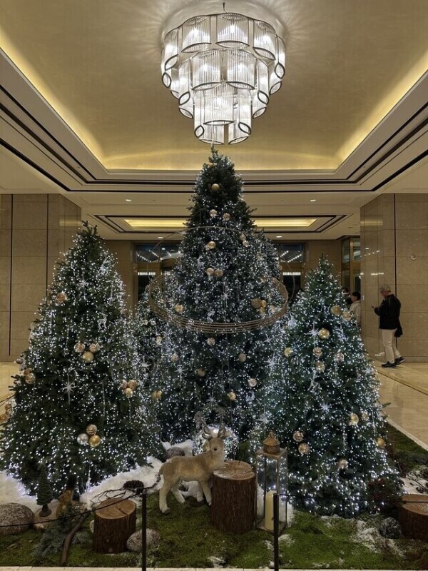 お久しぶりです🥹