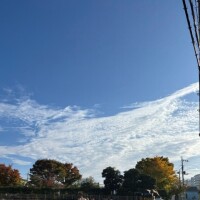 おはようございます💞🥰