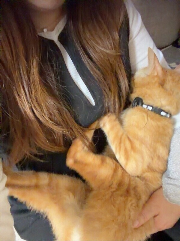 あそこ触らせてね❤️