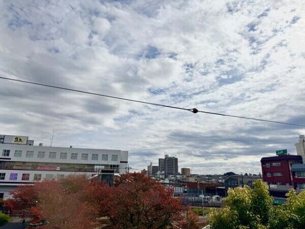 晴れたー‼️☀️🍂