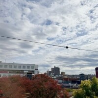 晴れたー‼️☀️🍂