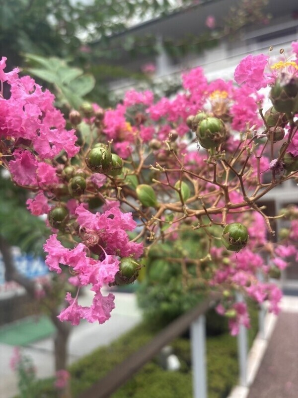 優しいお姉さん