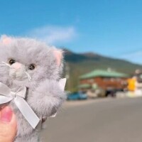 代理でおはよ♡