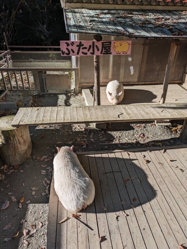 月曜日＆火曜日プチ旅行♡