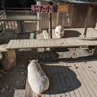 月曜日＆火曜日プチ旅行♡