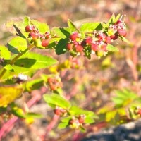 おはようございます♡