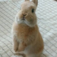 昨日のアカリさん♡おサボりごめんね♡