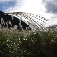 おはようございます