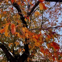 冬の気配🍂⛄️