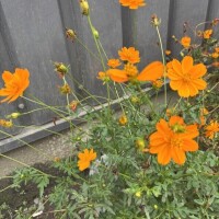 おはようございます☀