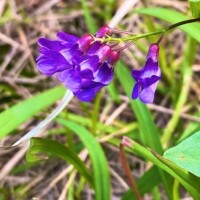 明日のご予約ありがとうございます♡