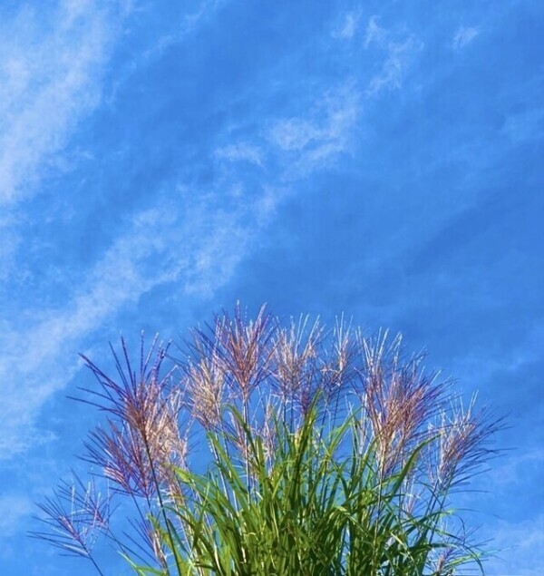 おはようございます♡