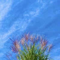 おはようございます♡