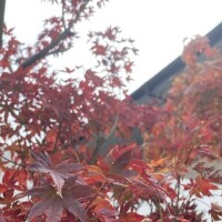 ご予約ありがとうございます♡