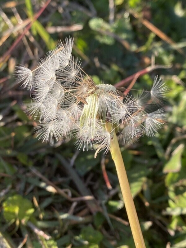 おはようございます♡