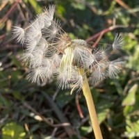 おはようございます♡