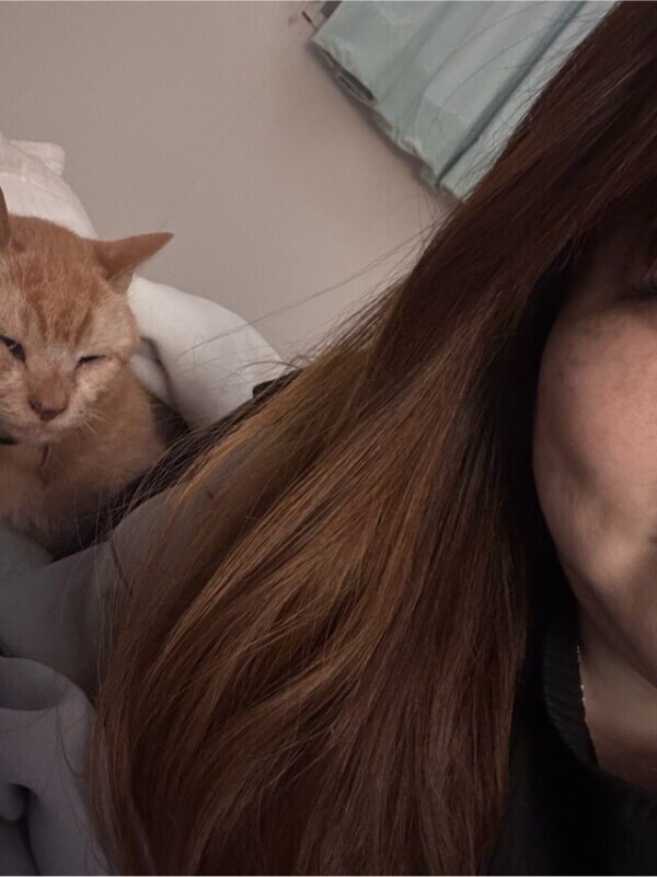 おやすみなさーい🌙