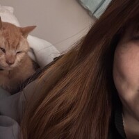 おやすみなさーい🌙