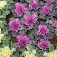 明日のご予約ありがとうございます♡